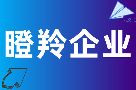 2023年广州申报瞪羚企业的最新资料指南、2023年瞪羚企业