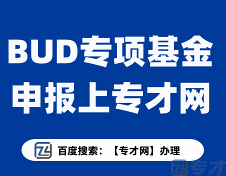BUD资助计划700w的资金怎么申领 一起探讨如何申请BUD(图1) BUD专项基金申报上专才网.png