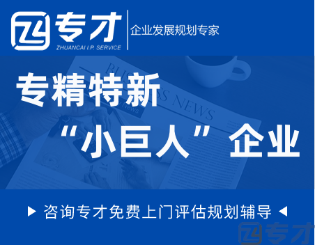 专精特新“小巨人”企业为何能在广东遍地开花 专精特新”企业共同点(图1) 专精特新“小巨人”企业.png