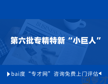 第六批专精特新“小巨人”.png