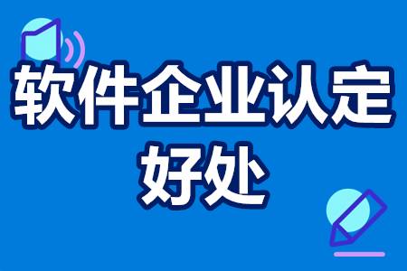 国家鼓励软件企业认定好处 软件大型企业的