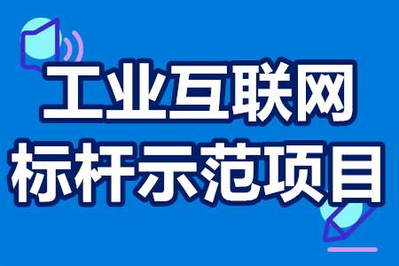 工业互联网标杆示范项目