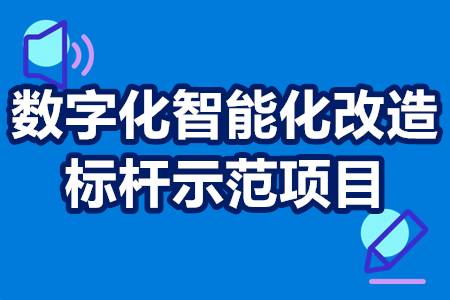 数字化智能化改造标杆示范项目申报流程、要求条件、补贴政策