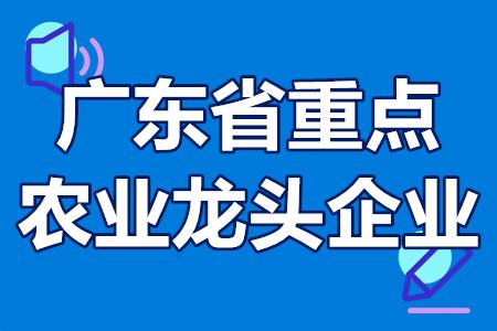 2022年广东省重点农业龙头企业申报条件、申报流程、奖励政策