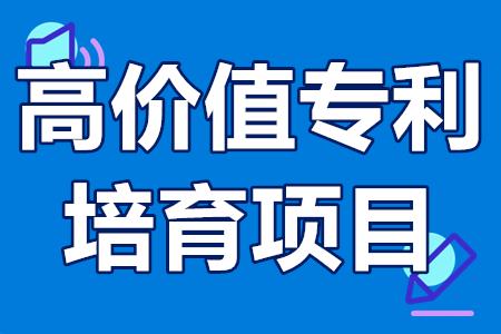 广州南沙区高价值专利培育项目申报条件、申报流程、工作任务