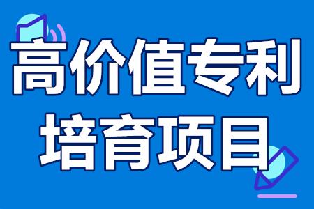 广州南沙区高价值专利培育项目