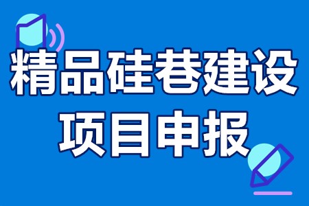 精品硅巷建设项目申报条件、申报流程、相关要求、补贴资助100