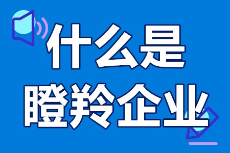 什么是瞪羚企业 瞪羚企业申报时间是多少？