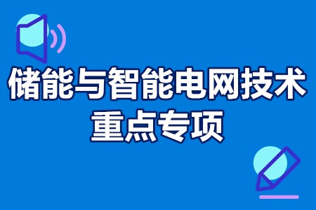 储能与智能电网技术重点专项