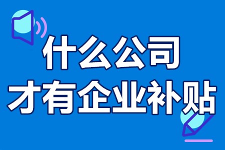 什么公司才有企业补贴 科技型企业补贴申请