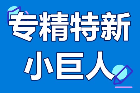 专精特新“小巨人”推荐和复核申报条件、对象、程序、工作要求