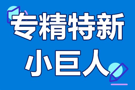 专精特新“小巨人”企业推荐和专精特新“小巨人”企业复核工作