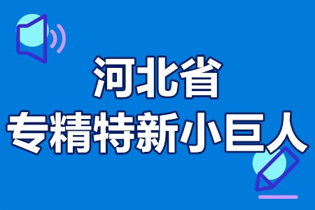 河北省专精特新“小巨人”企业申报和复核申报范围、申报方式、时