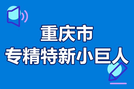 重庆市专精特新“小巨人”企业申报及复核条件、程序、时间