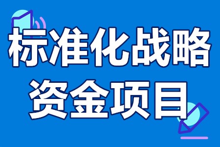 标准化战略资金项目