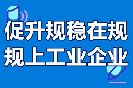 “促升规、稳在规”规上工业企业