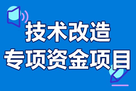 技术改造专项资金项目