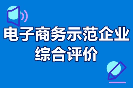 电子商务示范企业综合评价