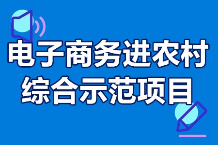 电子商务进农村综合示范项目