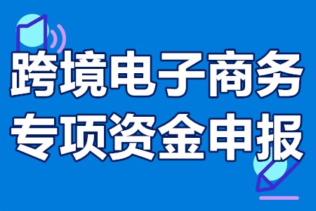 跨境电子商务专项资金申报