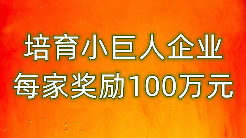 广州将培育250家国家级小巨人企业、每家一次性奖励100万元