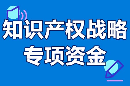 知识产权战略专项资金