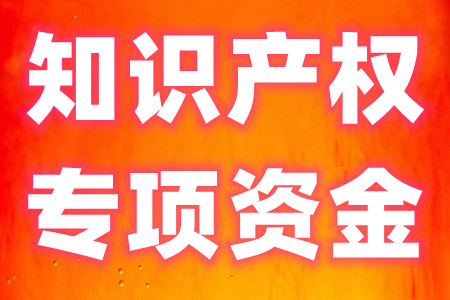 广州高新区知识产权专项资金补贴资助各项的详细指南