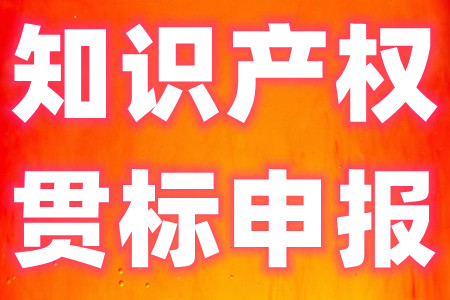 知识产权项目(促进类)知识产权贯标的申报条件、扶持标准、申报