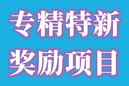 深圳市盐田区申请专精特新奖励金额最高6千万及相关项目补贴政策