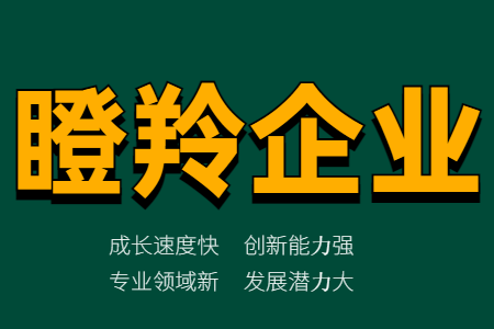 长沙瞪羚企业认定标准、长沙市瞪羚企业政策补贴详解及评定条件