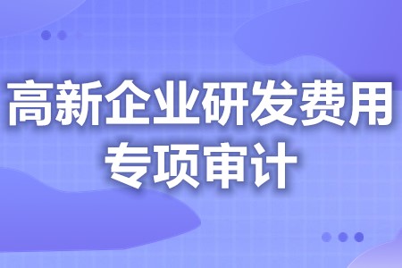 高新企业研发费用专项审计 高新企业年审研发费用比例