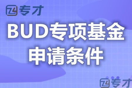 香港BUD专项基金补贴申请要求有哪些 BUD补贴是什么意思？(图1)