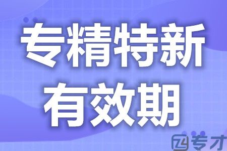 惠州省级专精特新牌照申请时间多久 有效期为多久(图1)