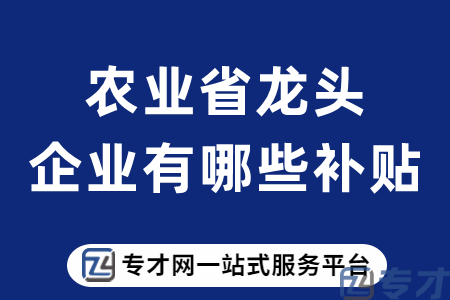 农业省龙头企业有哪些补贴.png