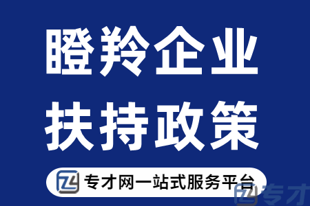 2023年惠州市瞪羚企业怎么申报呀、瞪羚企业要什么条件才行(图1) 瞪羚企业扶持政策.png