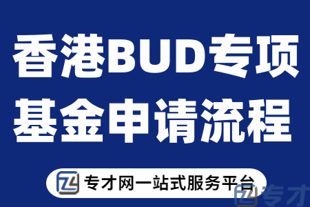 BUD专项基金专项资金申请代理费 香港公司如何申请BUD专项基金补贴资金(图1) 香港BUD专项基金申请流程.png