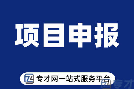 2024年省级高质量发展（口岸方向—口岸建设事项）专项资金怎