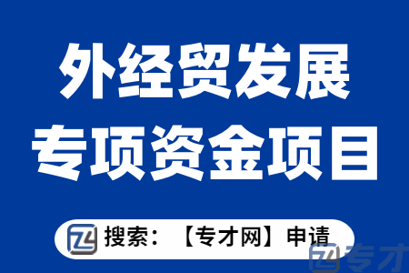 外经贸发展专项资金项目申报条件  特色服务出口扶持标准