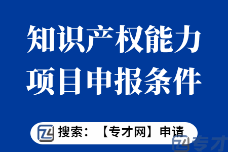 省下放市县知识产权专项资金项目申报条件  海外知识产权能力提