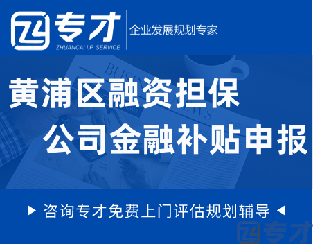 黄浦区融资担保公司金融补贴申报.png