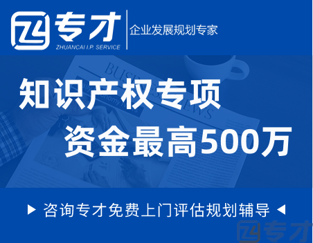 知识产权工作专项资金.png
