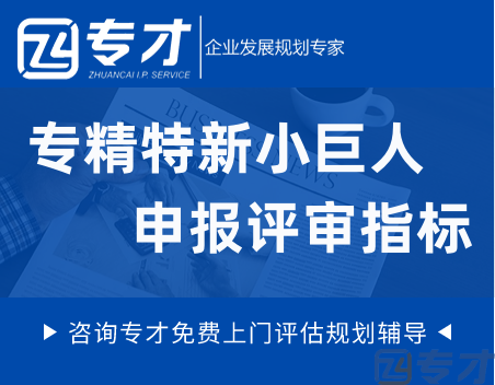 专精特新小巨人申报评审指标.png