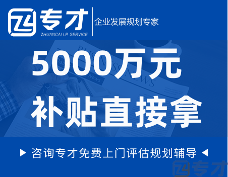 5000万元补贴直接拿.png
