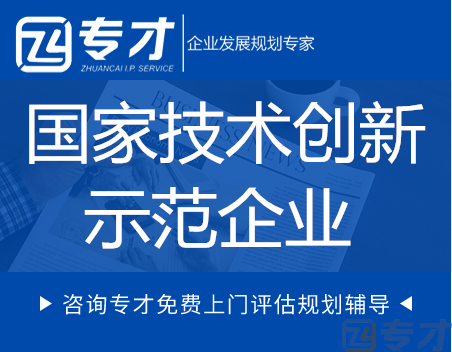 国家技术创新示范企业.png