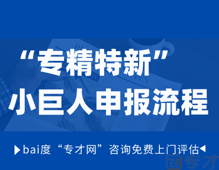 2024年“专精特新”小巨人申报流程 “专精特新”小巨人企业每年能通过有多少家?(图1) 2024年“专精特新”小巨人申报流程.png