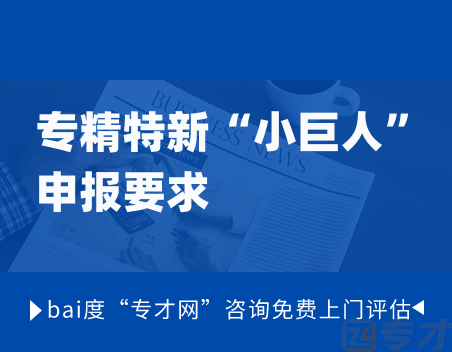 专精特新“小巨人”企业申报.png