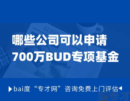 哪些公司可以申请700万BUD专项基金.png