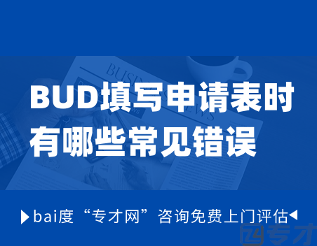 BUD填写申请表时有哪些常见错误？这样做