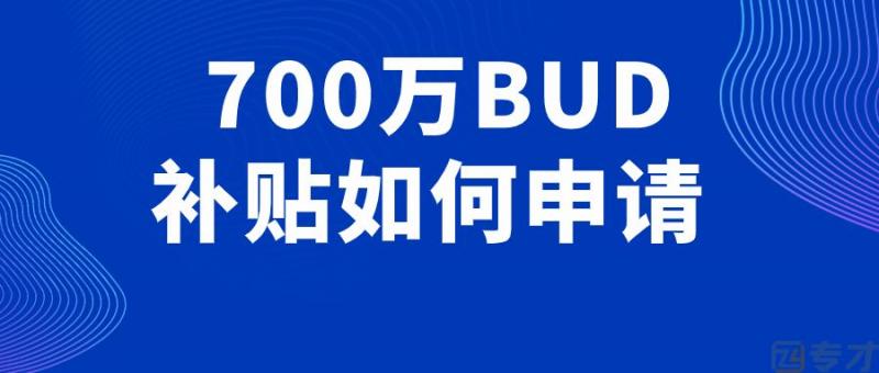 如何申请香港bud基金 700万的香港补