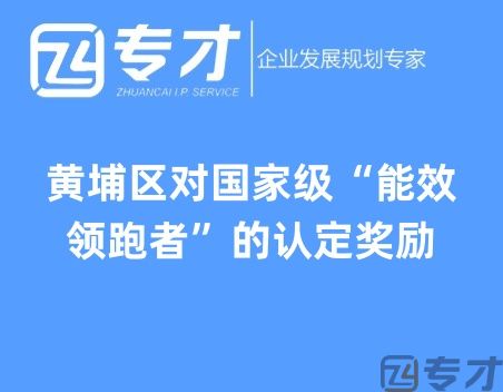 黄埔区对国家级“能效领跑者”的认定奖励.jpg